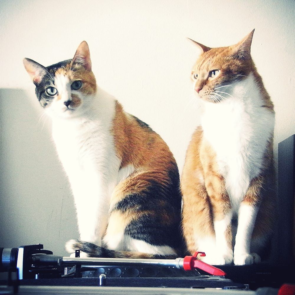 PRIMO meets Black Jazz